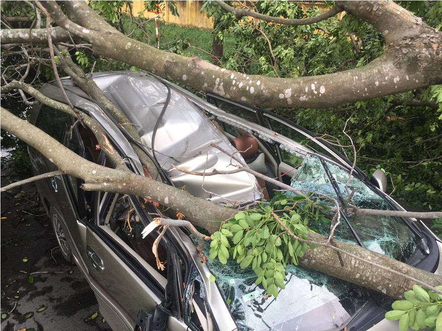 Chiếc ô tô bị đè bẹp, tài xế may mắn thoát chết.