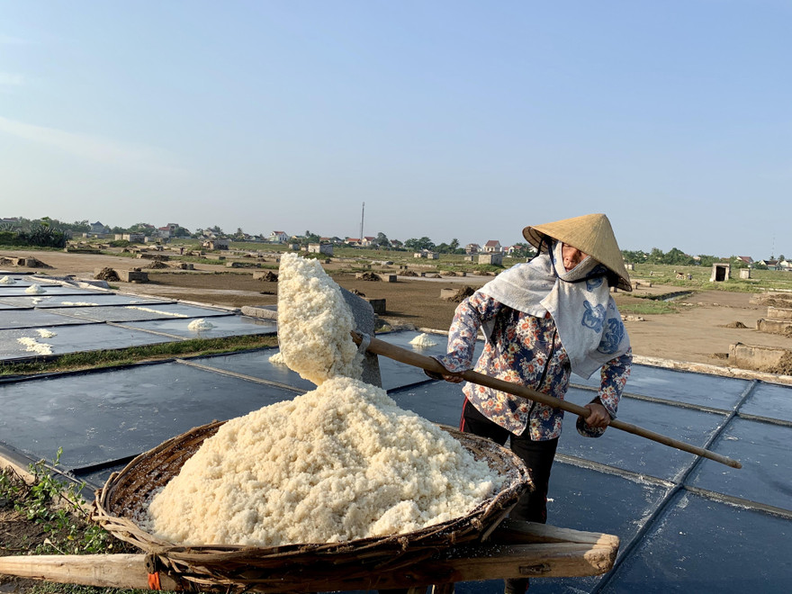 Những hạt muối nhọc nhằn ngày nắng gắt