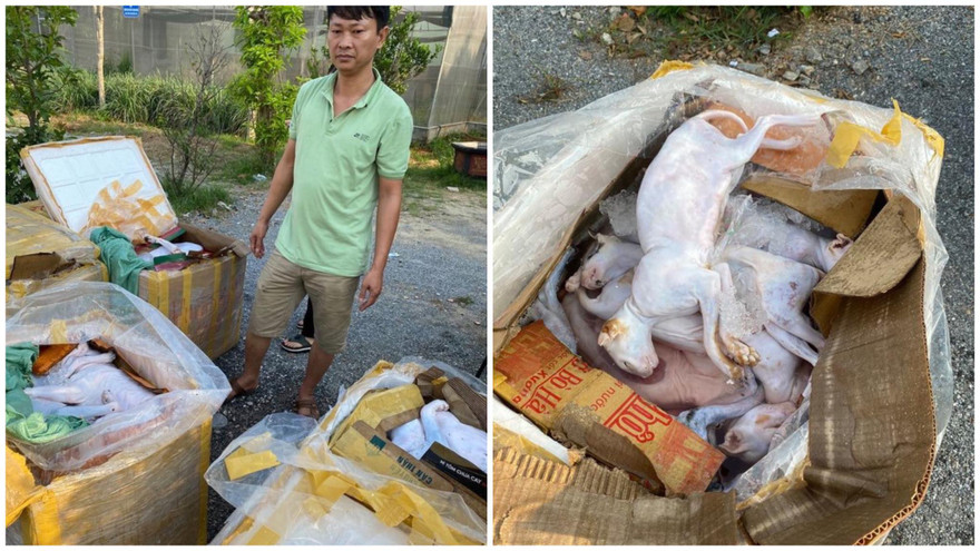 Số động vật đã qua sơ chế, bốc mùi hôi thối bị cơ quan công an phát hiện, bắt giữ