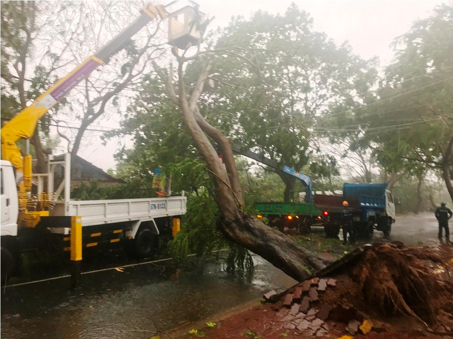 Cây xanh bật gốc do bão số 9.