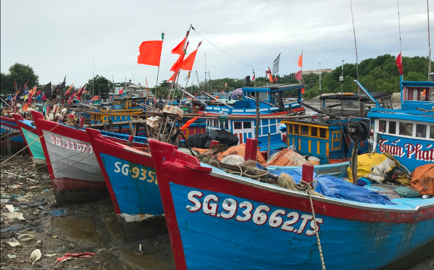 Toàn bộ tàu thuyền đã nhận được lệnh về nơi trú bão an toàn.