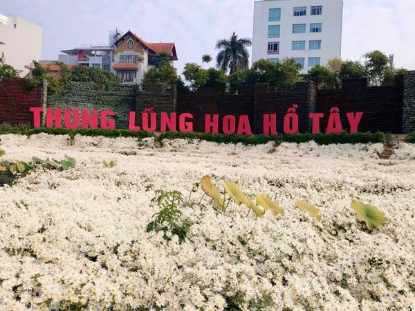 Thung lũng hoa Hồ Tây sử dụng sai mục đích đất.