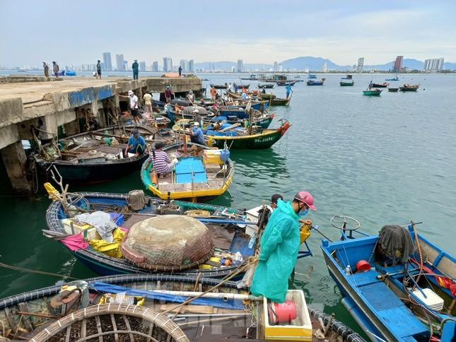Ngư dân Đà Nẵng đưa tàu thuyền vào bờ tránh bão. Ảnh: Nguyễn Thành