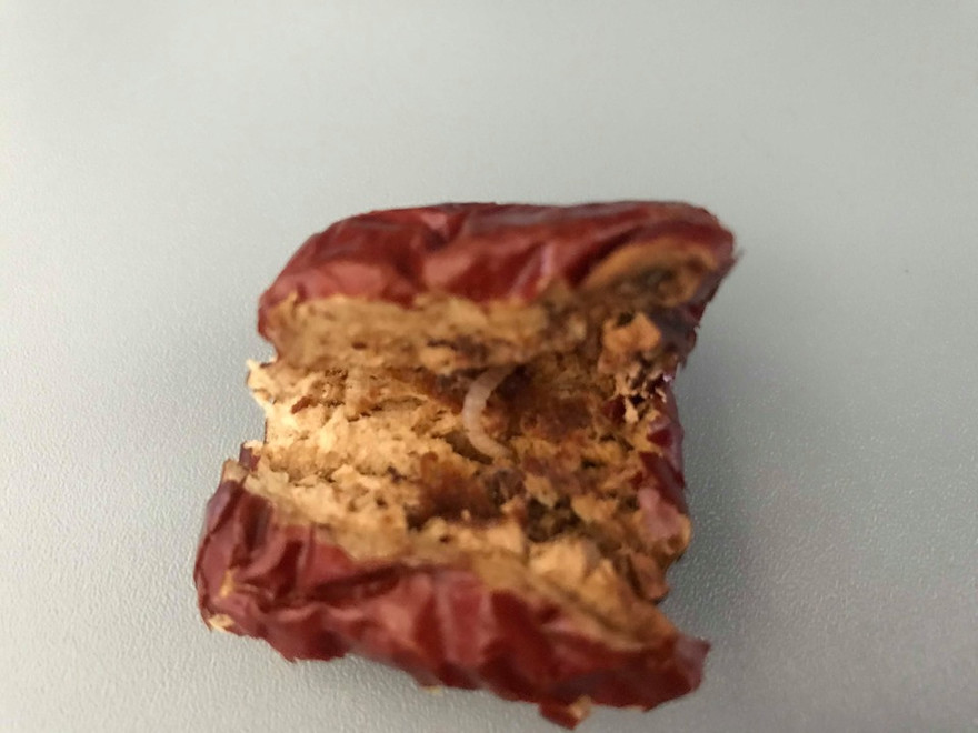 Dòi có trong suất ăn, hãng hàng không nói gì?