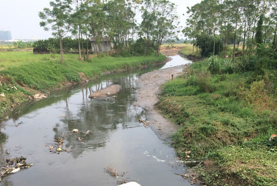 Kênh dài 10km bốc mùi hôi thối ở Hà Nội