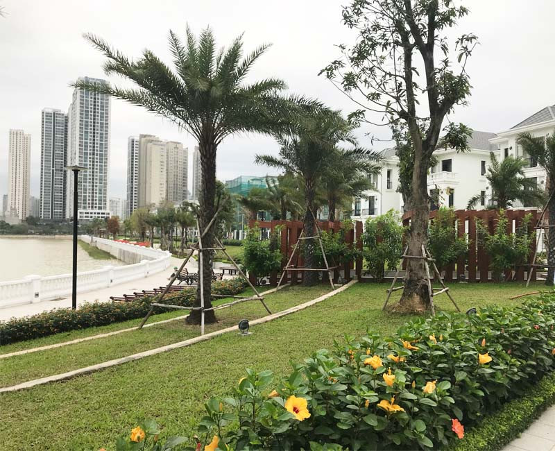 Năm 2020, thị trường bất động sản không có dấu hiệu bất thường