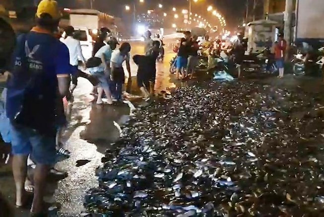 Xe tải lật ngang, gần 3 tấn cá rô bò lổn nhổn trên quốc lộ