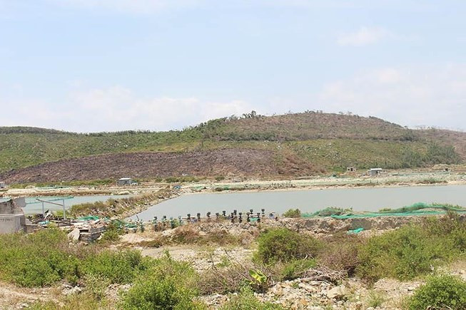 Tình trạng lấn chiếm, mua bán đất trái phép xảy ra nghiêm trọng tại xã Vạn Thạnh. Ảnh: TẤN LỘC