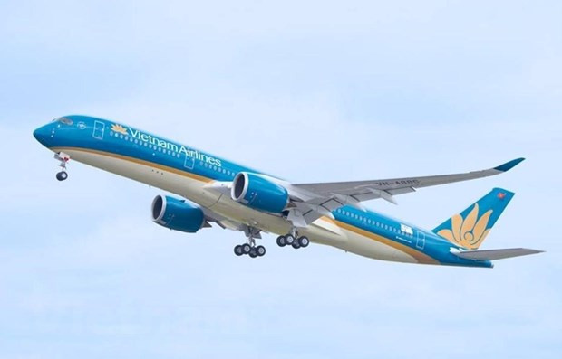 Máy bay của hãng hàng không Vietnam Airlines. (Ảnh: Vietnam+)