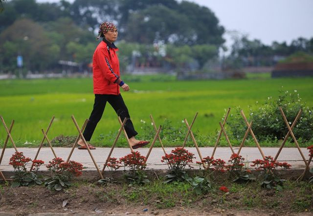 Kênh ngập rác thải biến thành đường hoa ở Hà Nội