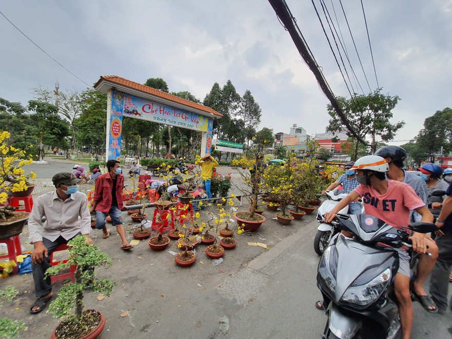 Dân buôn kéo cây kiểng tràn xuống lòng đường chào mời khách chiều cuối cùng của năm