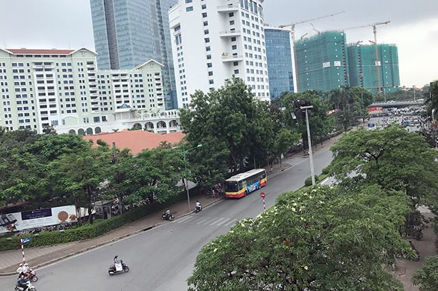 Hà Nội cấp phép đánh chuyển, chặt hạ 130 cây xanh trên phố Kim Mã