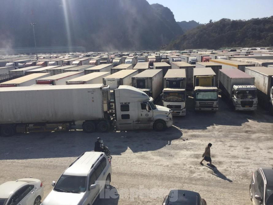 Khẩn trương xử lý việc Trung Quốc đề nghị dừng nhập khẩu hàng hóa 14 ngày