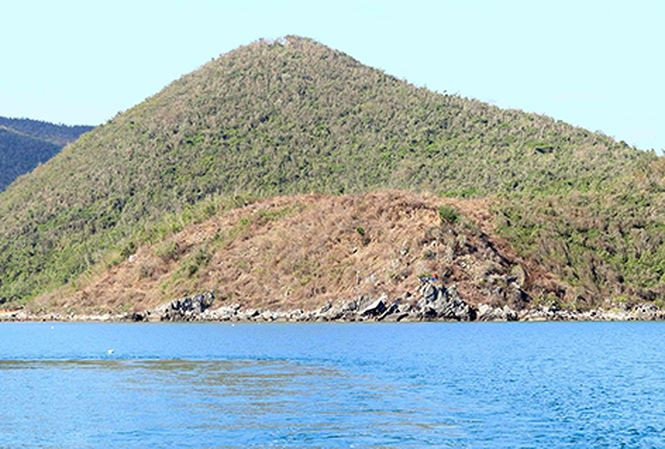 Nhiều hecta đất tại vịnh Vân Phong, huyện Vạn Ninh bị đào bới, cây cối bị đốn hạ. Ảnh: An Phước