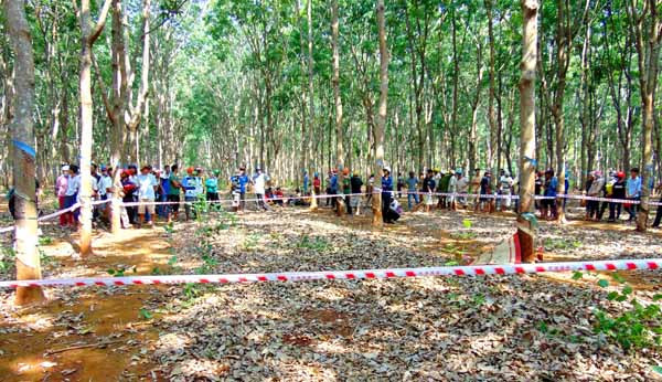 Nơi tim thấy thi thể của nạn nhân.