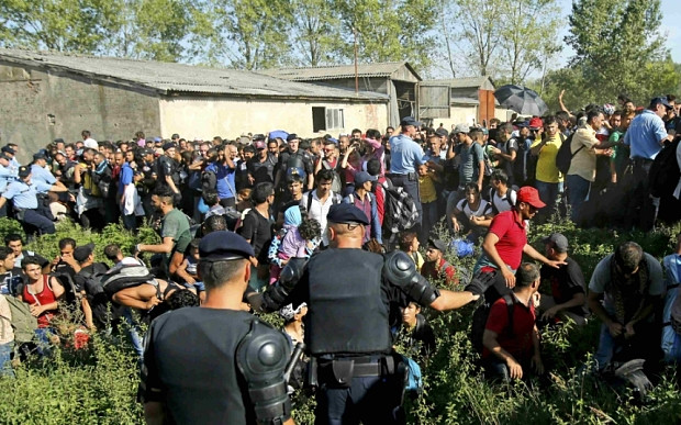 Hỗn loạn tại biên giới Croatia (ảnh: Telegraph) 