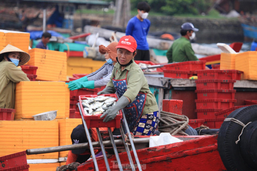 Nghệ An khẩn tìm người đến các địa điểm liên quan chùm ca nhiễm COVID-19 cộng đồng