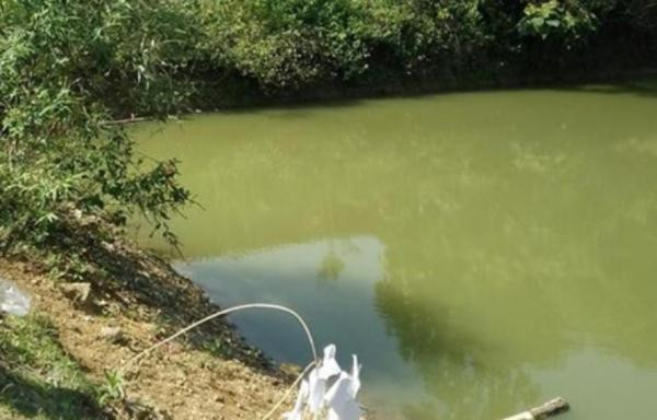 Chơi ở ao gần nhà ông, hai cháu bé đuối nước thương tâm