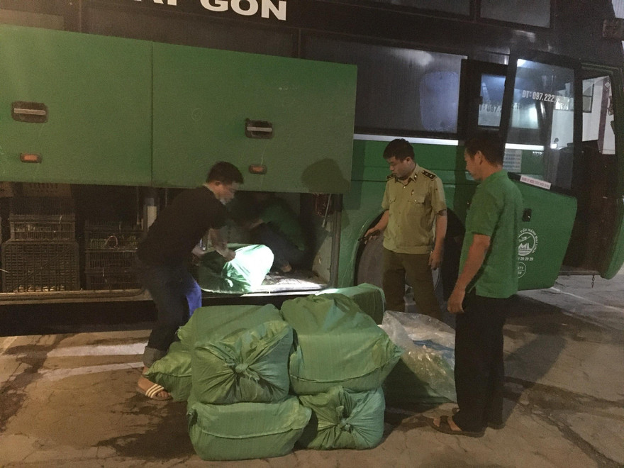 Lực lượng chức năng kiểm tra xe khách chở nội tạng động vật không rõ nguồn gốc xuất sứ
