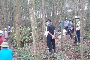 Phát hiện người đàn ông chết trong rừng keo sau 5 ngày mất tích