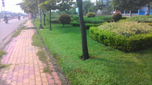 Nơi phát hiện thi thể.