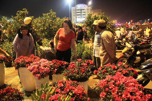 Bán tháo hoa cảnh Tết trước Giao Thừa 