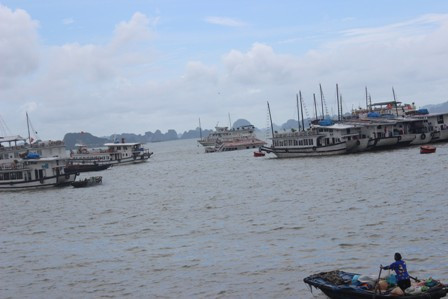 Vị trí bãi neo đậu nơi tàu du lịch bị chìm. 