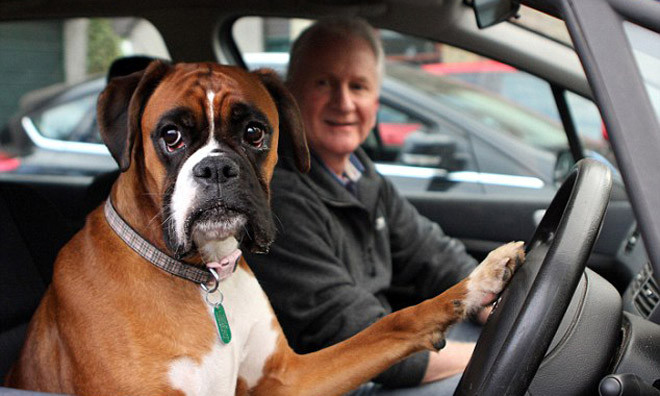 Fern và ông chủ Haddow