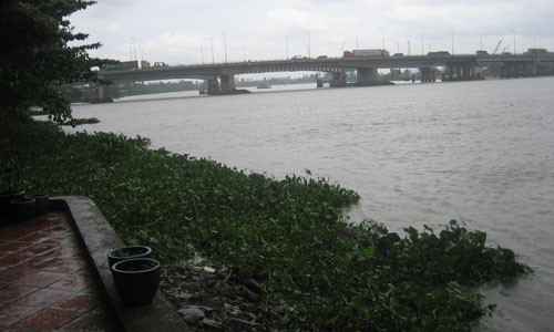 Quăng cần câu chạy thục mạng vì xác chết trôi sông