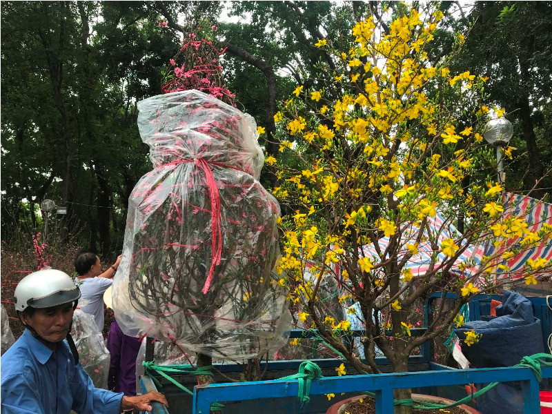 Mỗi chuyến xe ba gác chở hoa dịp Tết có giá từ 300-500 nghìn đồng.