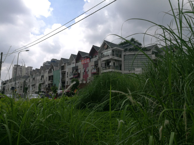 Hà Nội, sẽ không cắt cỏ đại trà mà để kinh phí đầu tư hạ tầng xã hội, phục vụ dân sinh 