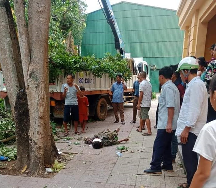 Chặt cây xanh trong ủy ban huyện, một người tử vong tại chỗ