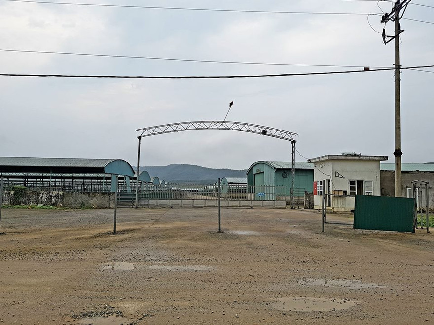 Dự án chăn nuôi bò của Công ty Cổ phần Chăn nuôi Bình Hà lộ rõ bản chất "Đầu voi đuôi chuột" sau hơn 2 năm đi vào hoạt động