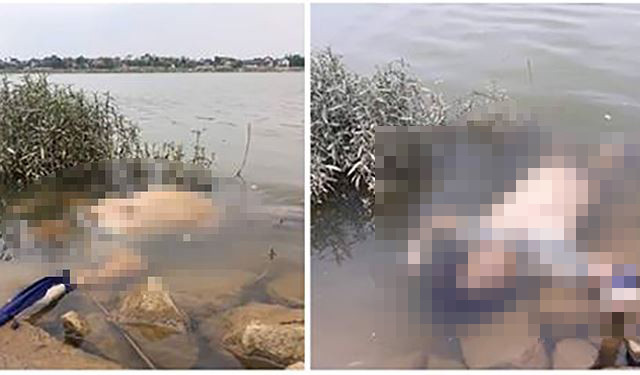 Thi thể người phụ nữ được cho là xác định chết vài ngày trước