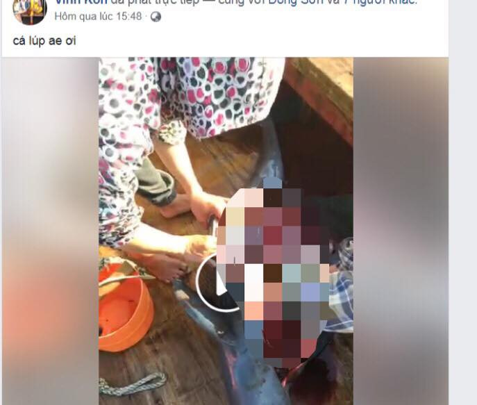 Phẫn nộ nhóm người Livestream cảnh giết cá heo lên Facebook