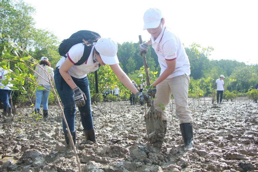 Góp thêm “lá phổi xanh” cho huyện đảo Cần Giờ