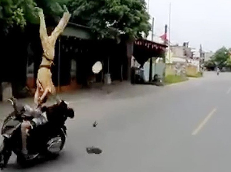 CSGT Hải Phòng bị hất tung khi dừng xe vi phạm.
