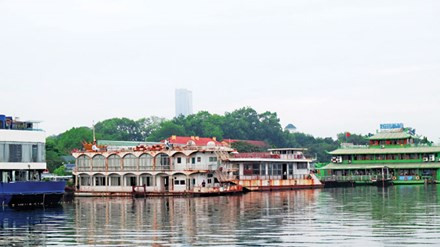 TP Hà Nội yêu cầu các đơn vị khẩn trương đình chỉ hoạt động bến thủy hồ Tây để xử lý môi trường nước hồ Tây