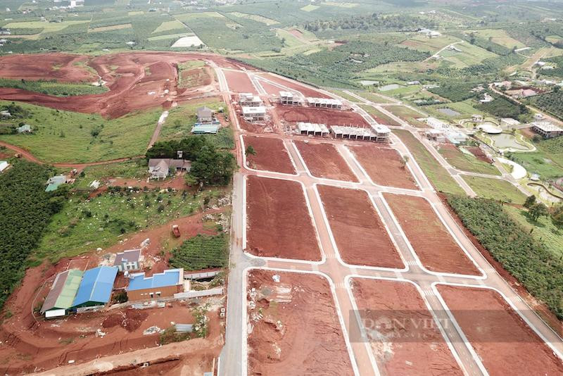 Nhiều đồi ở Lâm Đồng bị xẻ thịt phân lô bán nền. Ảnh: Dân Việt.