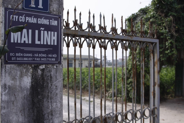 Khu đất rộng 11ha được AVG mua cổ phần của Công ty cổ phần giống tằm Mai Lĩnh với giá cao gấp 17 lần mệnh giá cổ phần.