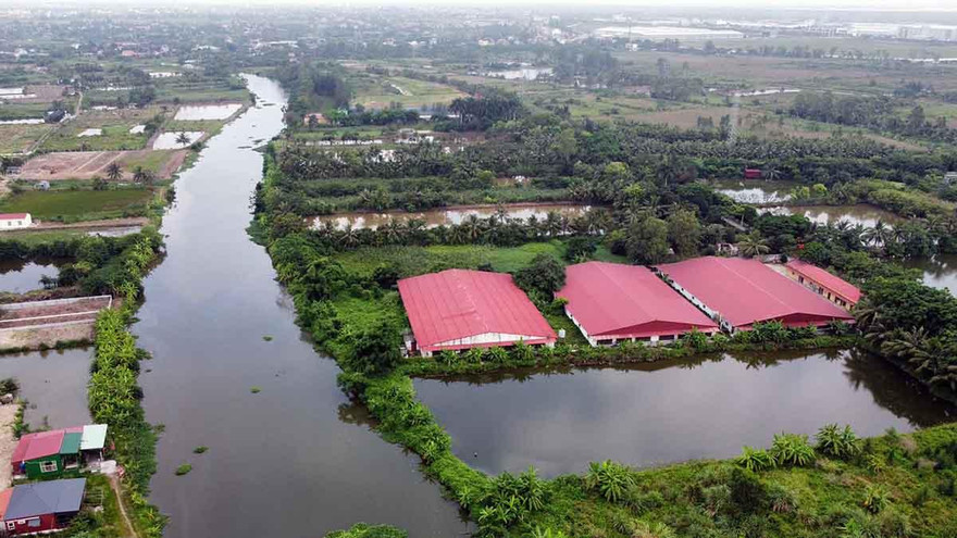 Toàn cảnh trang trại chăn nuôi xả trộm chất thải ra sông Họng gây ô nhiễm ở quận Đồ Sơn, TP Hải Phòng.