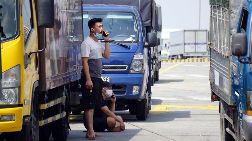 Ảnh: Tài xế chờ xét nghiệm tại chốt kiểm soát COVID-19 tại Hải Phòng.