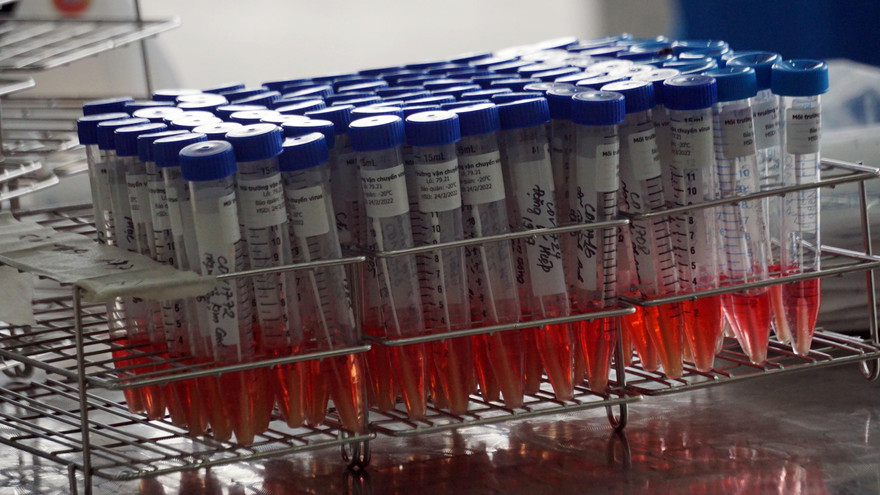 Ảnh: Nguyễn Hoàn