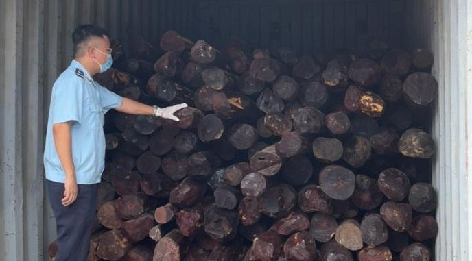 Lô gỗ giáng hương giấu trong thùng container nhập về cảng Đình Vũ. Anhr: HQO