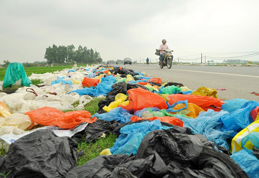 Thảm hoạ môi trường từ túi nilon, rác thải nhựa