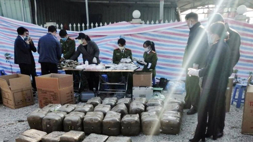 Thu giữ hơn 665kg nhựa cần sa giấu trong vỏ container ở Hải Phòng