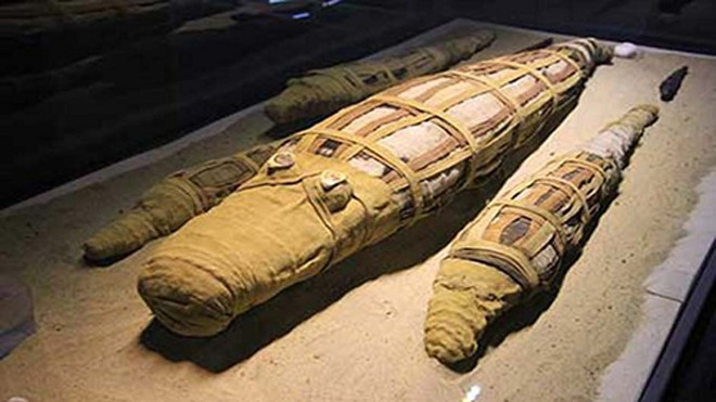 Xác ướp cá sấu ở đền thờ Kom Ombo thờ thần Sobek. Ảnh: Michael Birrell.