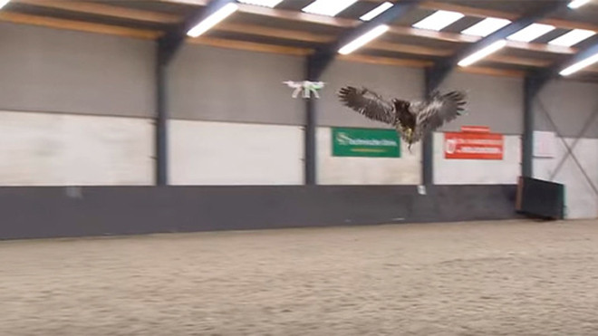 Không quân Pháp sử dụng chiến binh đại bàng săn UAV