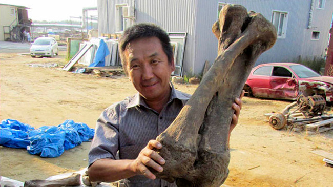 Các nhà khoa học đang vui mừng với việc phát hiện ra một bộ xương gần như hoàn toàn được bảo tồn trong lớp băng vĩnh cửu. Ảnh: Viện khoa học Cộng hòa Sakha