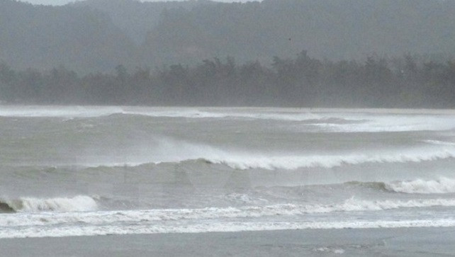 Ảnh minh họa. (Nguồn: TTXVN) 